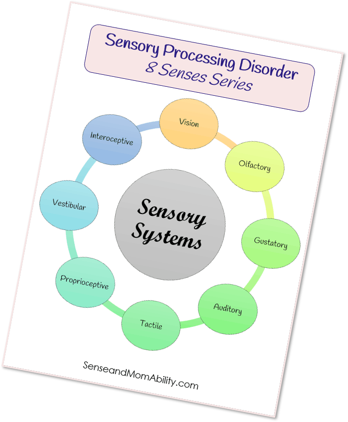printable of a sensory systems diagram